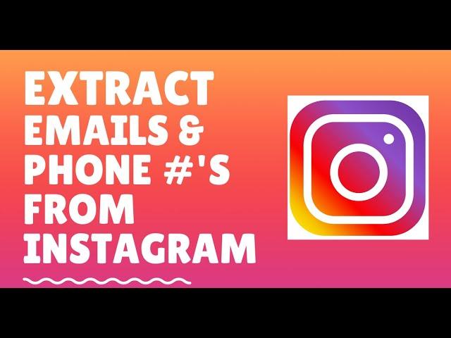 Extract Emails and Phone Numbers from Instagram In 3 Easy Steps