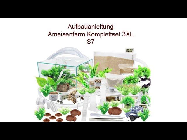 Aufbauanleitung Ameisenkomplettset Ameisenfarm S7 & 3XL