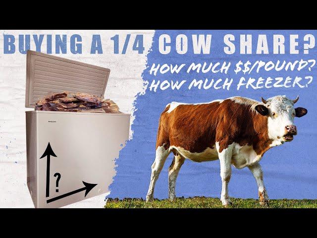 Buying a Quarter Cow? How Much Freezer Space? | Carnivore Diet Chronicles