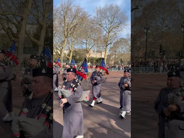 #changingoftheguard #london #lifeguards #royalguards #kingslifeguard #royalband #kingsguard #army