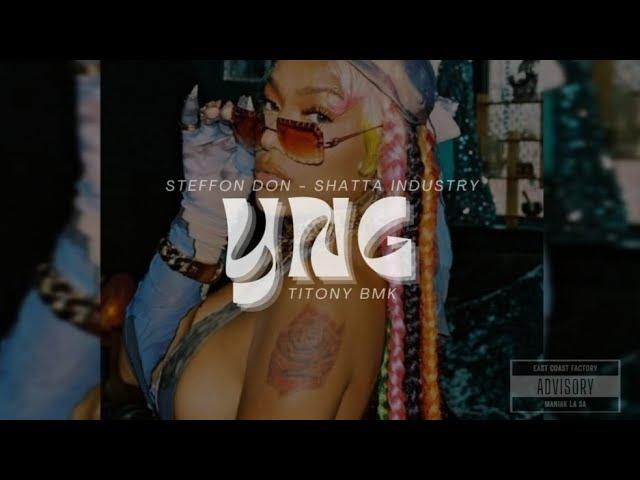 Stefflon Don - Shatta Industry (Remix YNG & @TitonyBmk )