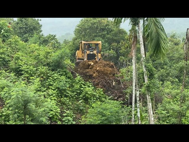 Technical Achievements of the D6R XL Bulldozer Building a Palm Tree Terrace on the Mountain