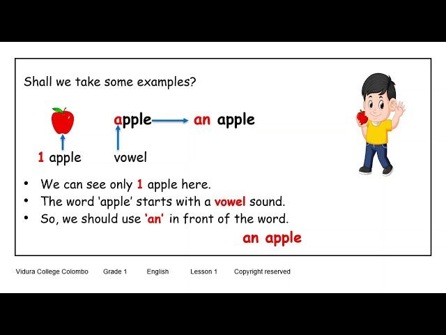 Grade 1 English Using a and an