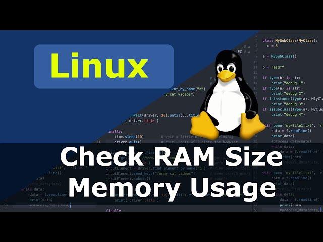 Linux - How To Check RAM Size And Memory Usage