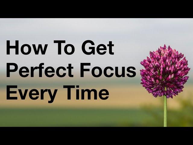 How To Get Perfect Focus On Your Camera Every Time