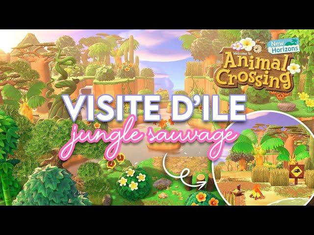 VISITE D'ÎLE AVENTURE DANS LA JUNGLE SAUVAGE  - ANIMAL CROSSING NEW HORIZONS