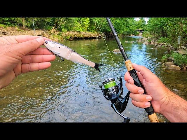 Fishing for Creek Monsters...and Getting Them!!