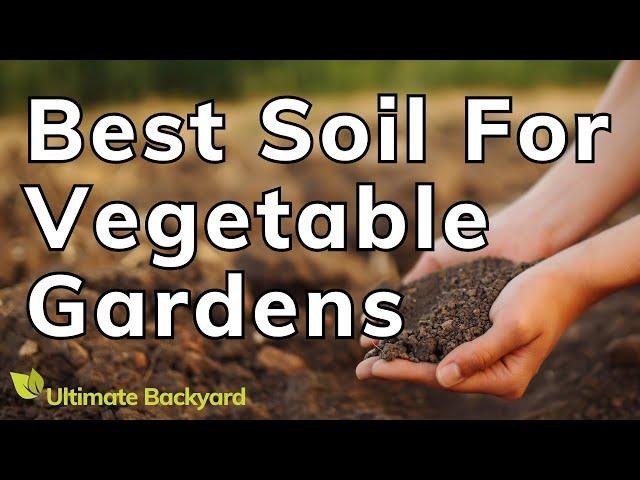 What's The Best Soil For a Vegetable Garden? [ANSWERED]