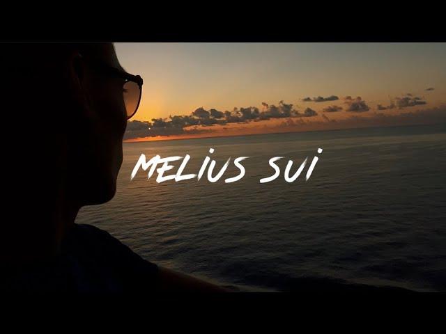 Melius sui explained…