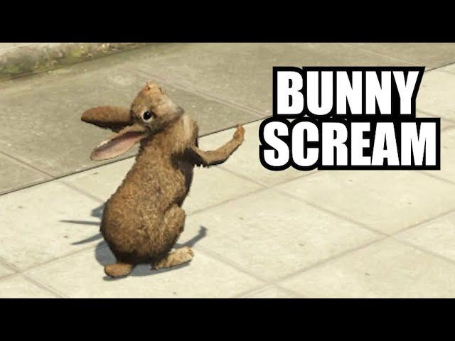 Bunny Compilation (w/ Tapperson)