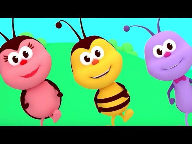 The Hokey Pokey Dance - Songs For Kids & Nursery Rhymes | Boogie Bugs