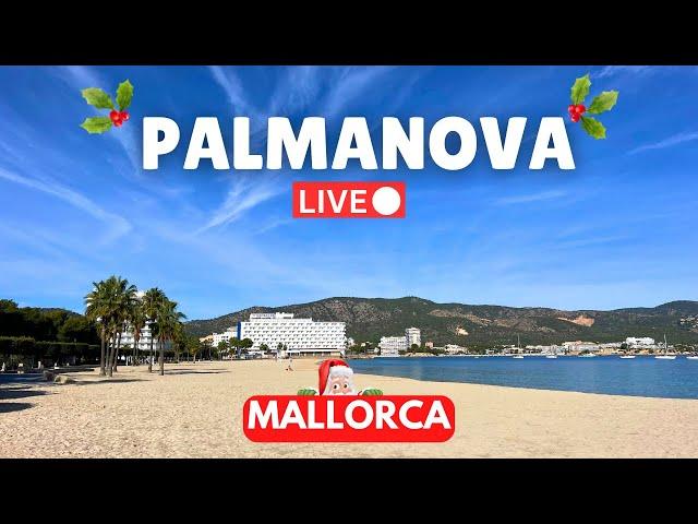 Final LIVE of 2024: Palmanova, Mallorca | SATURDAY 21 December 2024