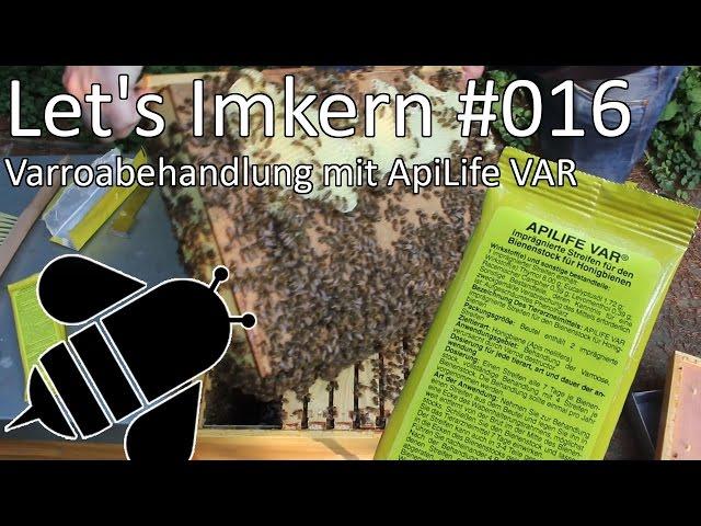 Let's Imkern | #016 | Varroabehandlung mit ApiLife VAR