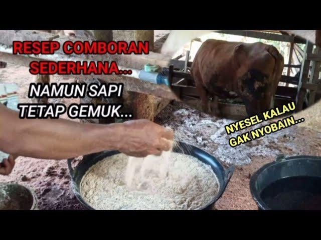 "KENAPA TIDAK DARI DULU,PAKAI COMBORAN SEDERHANA TAPI BIKIN SAPI GEMUK".