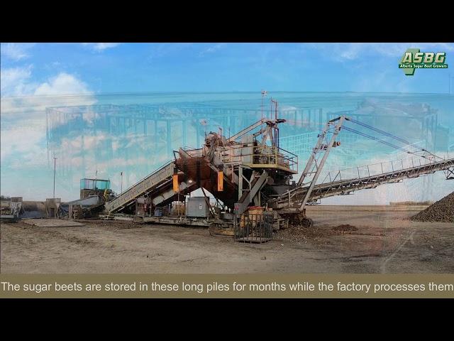 Beet Dump   Piling Grounds