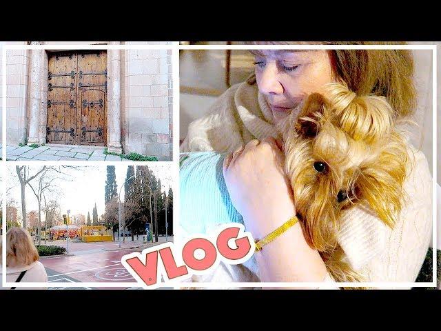 БЕСПОРЯДКИ В БАРСЕЛОНЕ | VLOG / ВЛОГ : 22.02.2019