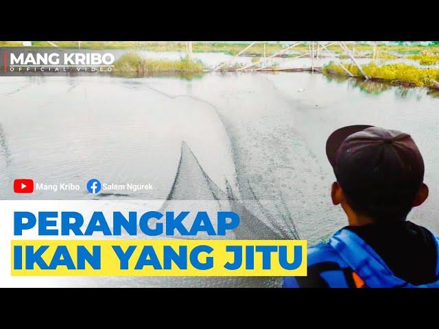 SALAM NGUREK | Rekomendasi perangkap ikan BERANJANG #rawapening