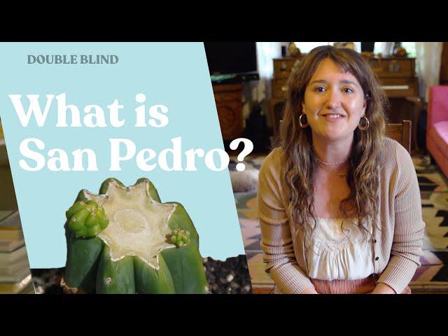 San Pedro: What Is It?  | DoubleBlind