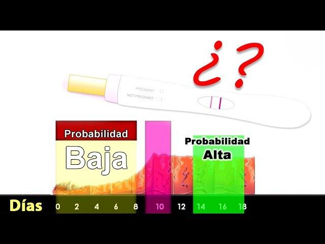 Puedo quedar embarazada si tuve relaciones 2 dias después de mi periodo