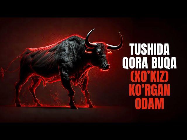 Tushida qora buqa (xo‘kiz) ko'rgan odam | Ustoz Abdulloh Zufar