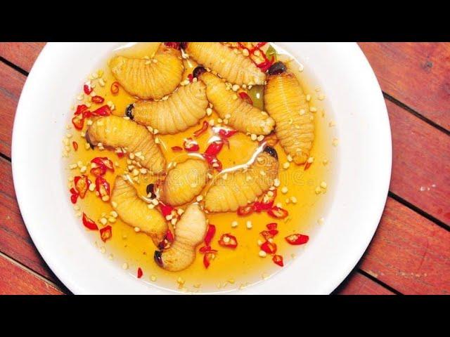 Bizarre  food around the world (sabse anokha khana)