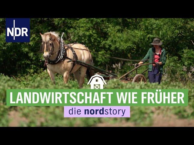 Altes Wissen neu im Norden für Ackerbau und Viehzucht entdeckt | die nordstory | NDR