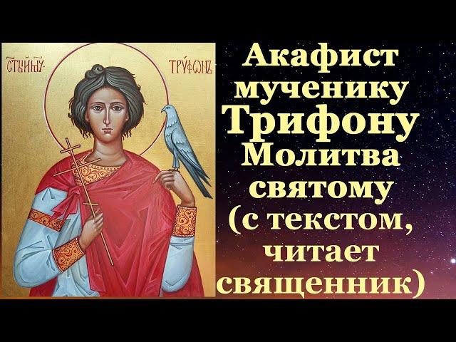 Акафист мученику Трифону, с текстом, слушать, читает священник, молитва святому Трифону Апамейскому