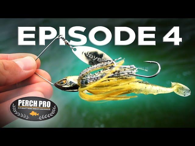 PERCH PRO 8 - Episode 4