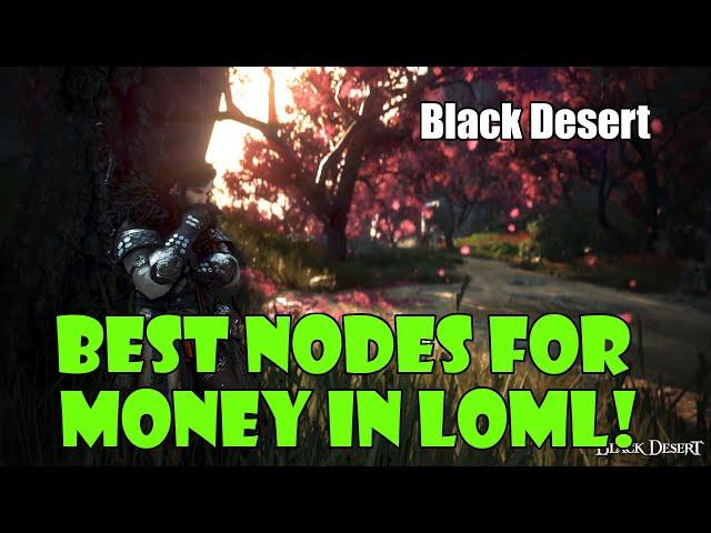 [Black Desert] Best Nodes to Get in The Land of Morning Light for Passive Income!