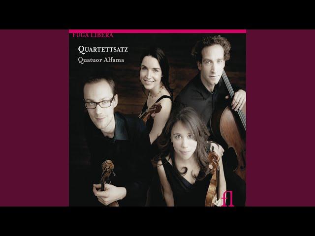 Quartettsatz in B-Flat Major