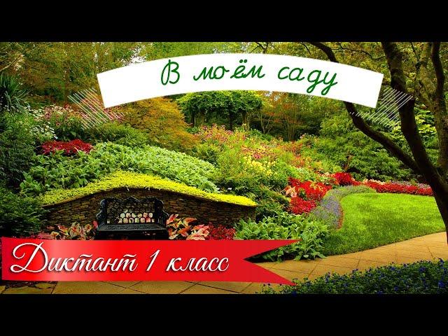 Диктант по русскому языку с проверкой! 1 класс.  В моём саду