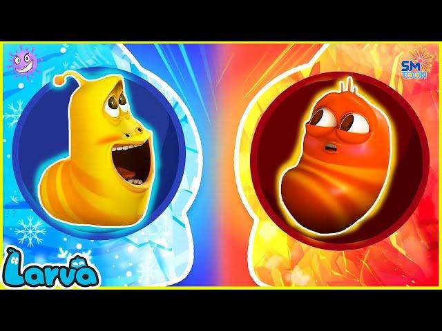 LARVA SEASON 2 EPISODE 91 ~ 192  NEST VERSION LARVA 2024 | MINI SERIES FROM ANIMATION LARVA