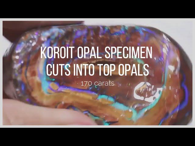 Koroit Opal Specimen Cuts into Top Opals | Opal Auctions