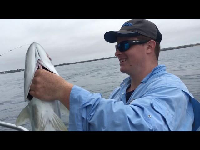 [FISHING]REEL TIME FISHING , FISHING FOR BLUEFIN TUNA[L.D.V.]