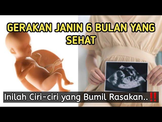 Ciri-ciri GERAKAN JANIN 6 BULAN yang Sehat | Bumil Wajib Tahu!