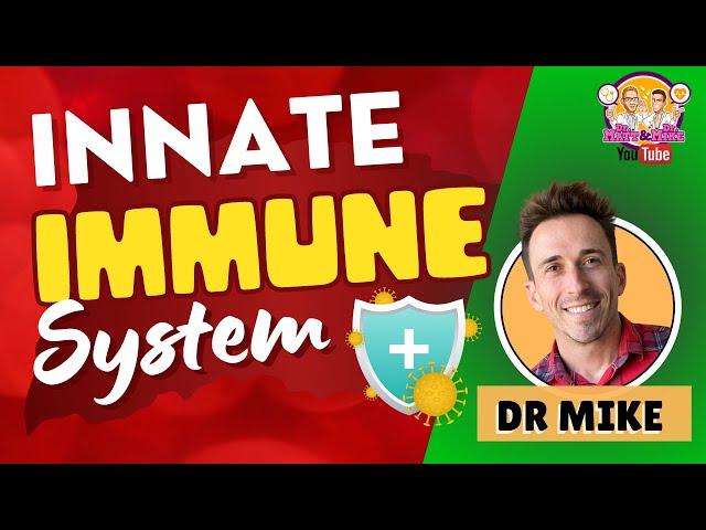 Innate Immunity | Immune System