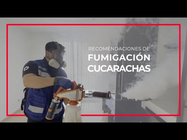 Fumigación de Cucarachas |  Recomendaciones Previas