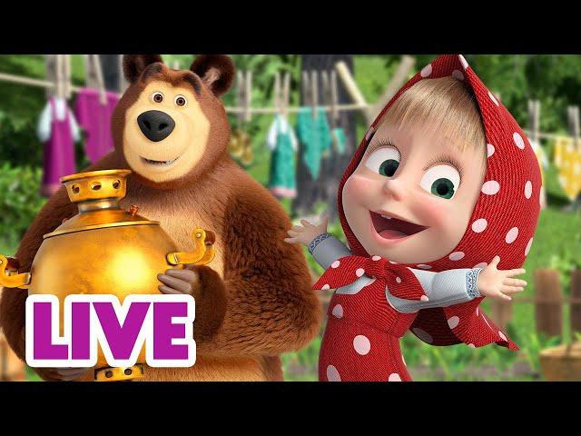  AO VIVO ️ Masha e o Urso  Você tem um plano?  Masha and the Bear