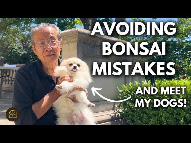 Make NO Mistakes in Bonsai + Meet My Dogs! | Q&A
