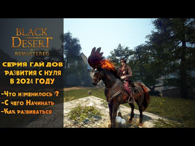 Black Desert  БДО гайд для новичков  Лучший старт в 2024  часть 1