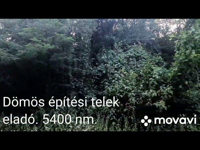 Dömösön 5500 négyzetméter épitési telek eladó