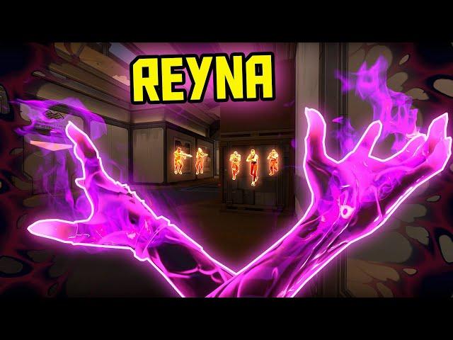 POV: You Have 1000+ Hours on REYNA