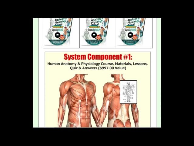 Human Anatomy & Physiology  Study Course pdf  Review - Human Anatomy Download