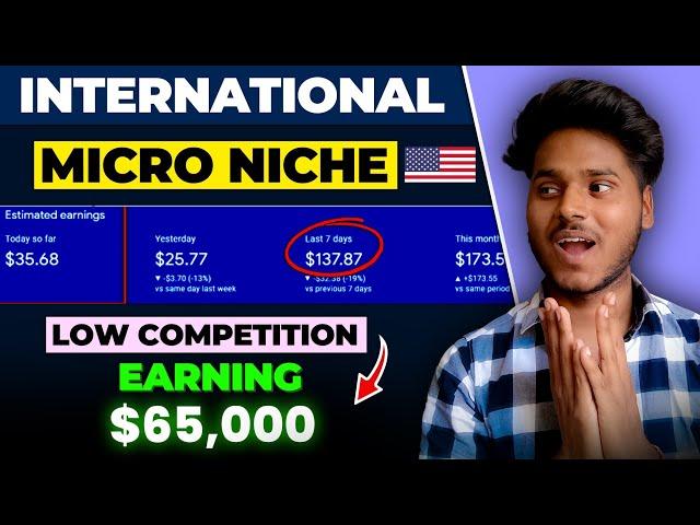 international blogging micro niches 2024 | $65000 Earn By Micro Niche website