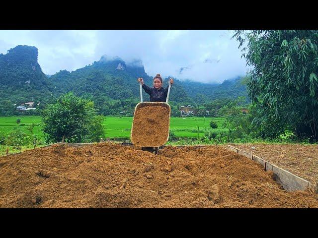 Day 3 in the safe zone : Complete floor elevation - Cook purple sticky rice to sell