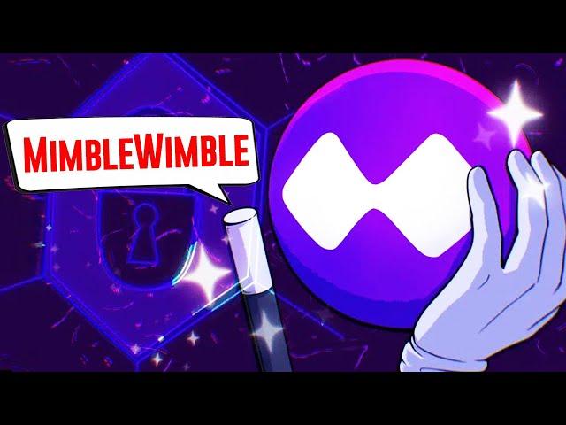 What is Mimblewimble Protocol | Explained with Animations