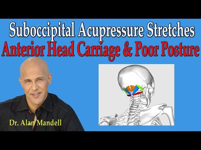 Suboccipital Acupressure Stretches for Anterior Head Carriage & Poor Posture - Dr Mandell