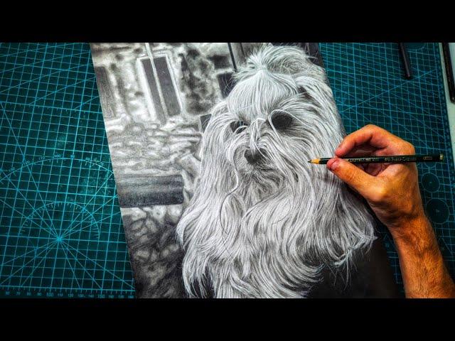 Como dibujar un Perro REALISTA con lápiz de GRAFITO