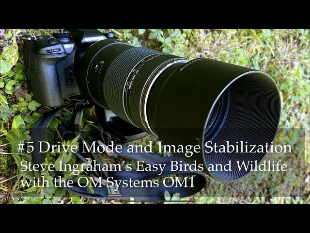 #5 Steve Ingraham’s Easy Birds and Wildlife with the OM-1: drive modes and image stabilization