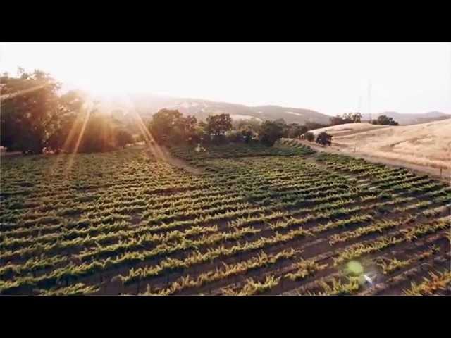 The Blue Victorian Tasting Room by Vezer Family Winery